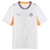 PUMA IJsland 2026 uitshirt, Grijs/Wit, Maat 11-12Y