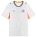 PUMA IJsland 2026 uitshirt, Grijs/Wit, Maat 11-12Y