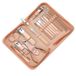 Icecat Ensemble de manucure professionnel 18 en 1 or rose