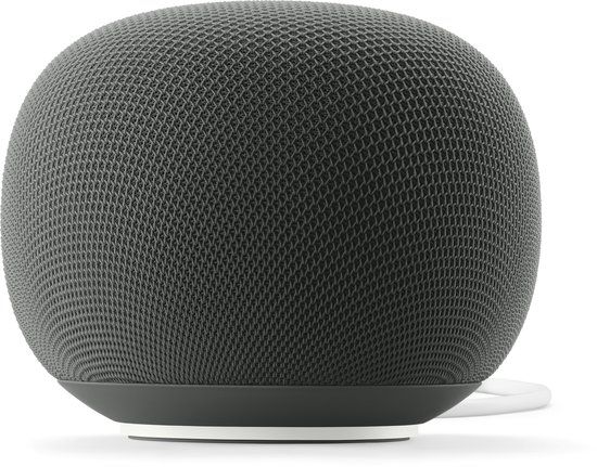 Google Home Speaker Hazel
