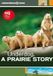 Underdog Prairie Story DVD