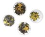 Petra's knutsel-News A-ST4DF3 dozen set "Sterren III"