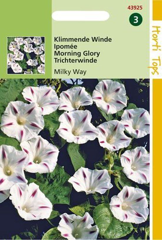 Hortitops Zaden - Ipomoea tricolor Milky Way