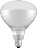 Merkloos / Sans marque Wan GmbH Infrarood Lamp - Vervangingslamp Warmhoudlamp - Voedsel Warm Houden - Splintervrij Ontwerp - 125x170mm - Wit