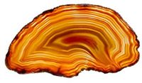 mysale24.de Tranche d'agate naturelle | Marron env. 8-9 cm | Poli transparent | Polyvalent | Dessous de verre