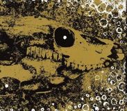 Sonic Rendezvous Rise And Fall - Our Circle Is Vicious (CD)