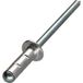Vis Express Vis Aveugle Aluminium Tige Acier 3.2x11 Tête Pla Multi-serrage Polygrip-100 Pièces