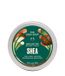The Body Shop Shea Body Butter