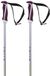 Volkl Phantastick Polen Argent 115 cm Femme