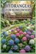 Hydrangeas Independently Published Hydrangeas for Homeowners: A Complete Guide to Choosing, Planting, Growing, Pruning, and Caring for Beautiful Hydrangeas