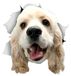 Autosticker Cocker Spaniel 3D, imperméable et résistant aux rayures