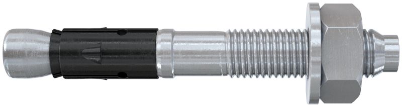Fischer FAZ II Plus 10/20 K EV Doorsteekanker - 25 stuks
