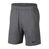 Nike Sportbroek - Maat L - Mannen - Grijs