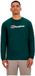 Berghaus Big Logo T-shirt Met Lange Mouwen Groen M Man
