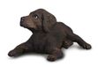 Collecta Labrador Retriever Puppy Figurine Chien 4x3.7x2.3cm