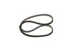 BOSCH Keilrippenriemen 1987947880