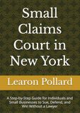 Small Claims Court in New York: A Step-by-Step Guide for Individuals and Small Businesses to Sue, Defend, and Win Without a Lawyer