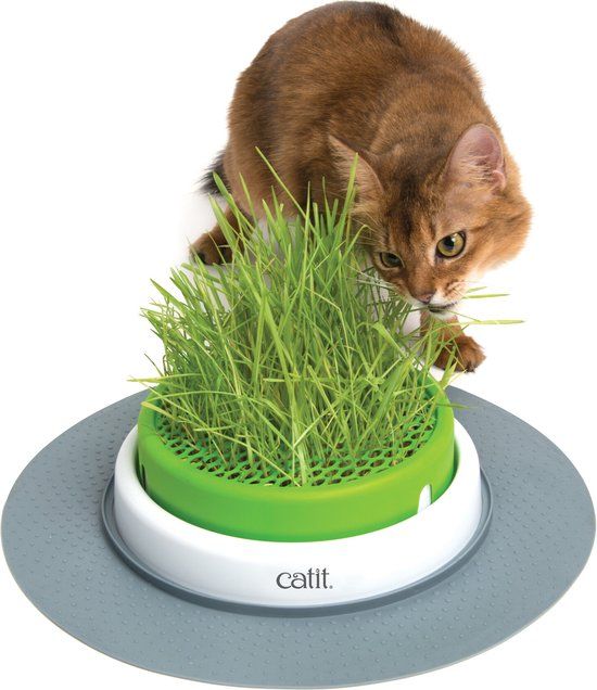 Catit Senses 2.0 Grass Planter - Kattengras