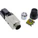 InLine 76204C Keystone-Modul