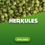 Herkules Houblons en pellets 100 g