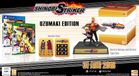 Bandai Namco Entertainment Inc. Naruto to Boruto: Shinobi Striker - Collector's Edition - PS4