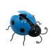 Dekohelden24 Metalen lieveheersbeestje magneet koelkastmagneet blauw