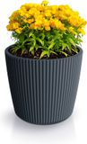 Prosperplast Plantenpot/bloempot Buckingham - buiten/binnen - design kunststof - antraciet - D14 x H13 cm