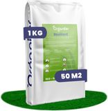 Organifer Herstelgazon Graszaad Snelkiemend (1kg, 50m2)