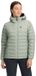 Black Diamond Access Donzen Jas Groen XS Vrouw