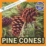 Pine Cones!: A My Incredible World Picture Book for Children