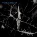 Sonic Rendezvous Show Of Bedlam Transfiguration (CD)