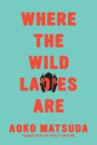 Where Dreamscape Media Where the Wild Ladies Are
