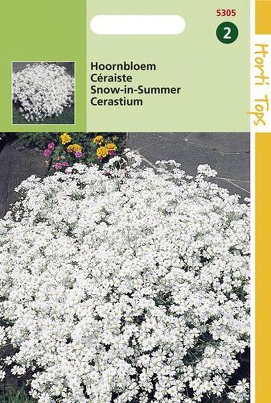 Hortitops Zaden - Cerastium Biebersteinii - Bloemzaad - Wit - Zomer