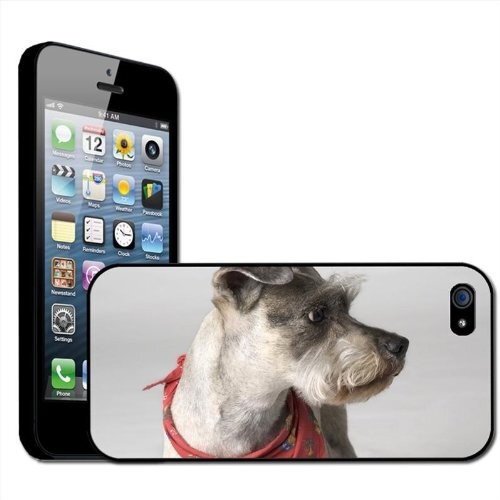 Fancy A Snuggle Fancy Een Snuggle Miniatuur Schnauzer Hond Clip Op Achterzijde Cover Hard Case voor Apple iPhone 5