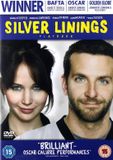 Silver Linings Playbook / Book / 2013
