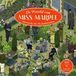 Miss Marple De wereld van Miss Marple
