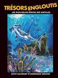 Trésors Engloutis: Les plus belles épaves des Antilles