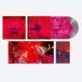 Sony Music Arcade Fire - Pink Elephant (Clear with Pink Vinyl)