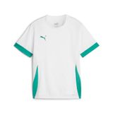 Puma TeamGoal wedstrijdshirt voor kinderen jr 705748