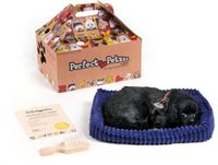 Perfect Petzzz Soft Zwarte Labrador - 0737412996323