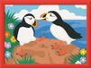 Ravensburger CreArt - Schilderij volgens Numbers 25887 - Papegaaiduikers - vanaf 9 jaar
