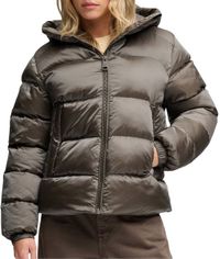 Superdry Hooded Shine Puffer Jack Dames XL (42) Tief Khaki Grün Polyester/Polyamid Wasserdicht
