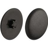Häfele Cache IS20 pour vis pour plaques de serrage TORX avec étoile intérieure, noir - RAL 9005