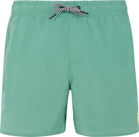 Protest CULTURE JR Zwemshort Jongens Frosty Green