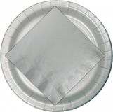 Haza-Witbaard 48x Kartonnen bordjes zilver 23 cm