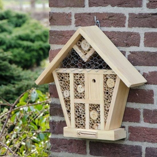 CJ Wildlife Insectenhuis met verschillende kamers 40 cm