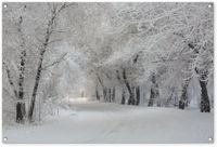 Poster de jardin - Hiver - Neige - 120x80 cm - Décoration de jardin - Arbres - Nature - PVC