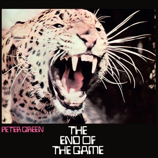 Peter Green The End Of The Game