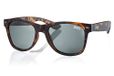 Superdry Sunglasses SDS-ALFIE 102P 55