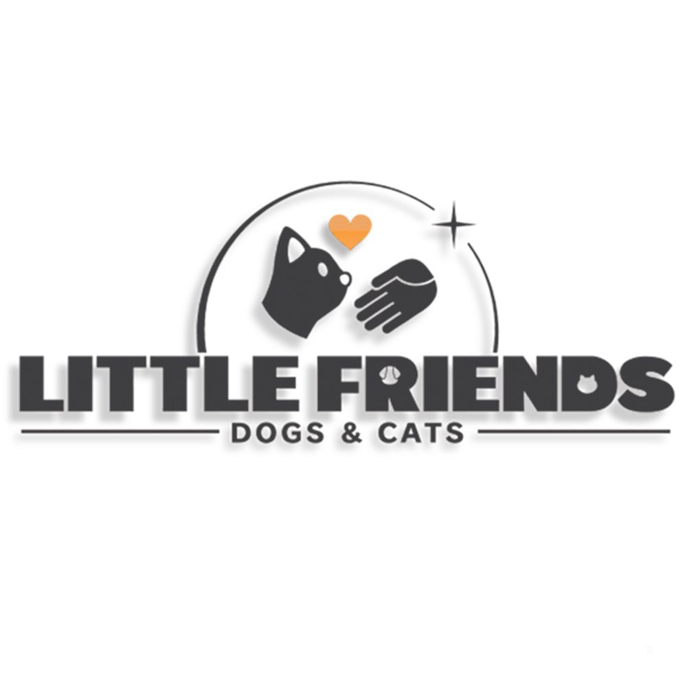 Nintendo Little Friends: Dogs & Cats - Nintendo Switch
